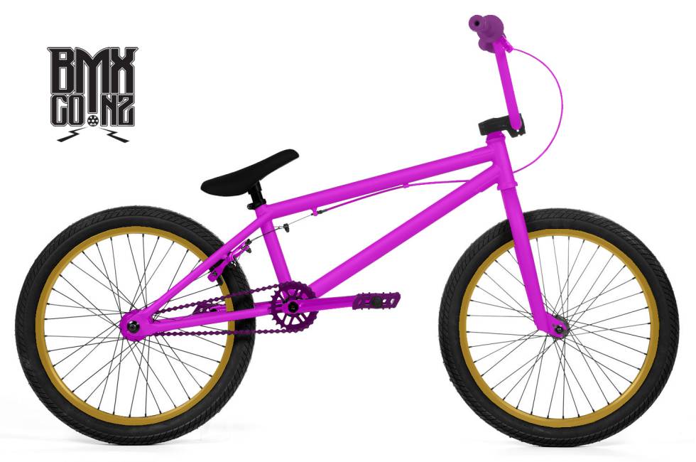 Custom BMX Bike
