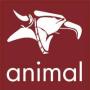 Animal Bmx