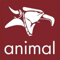Animal Bmx