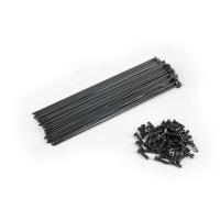 Eclat - Spokes 
