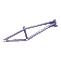 Radio - 2025 Quartz Disc Pro Frame