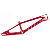 Radio - 2025 Terra Disc Pro Frame